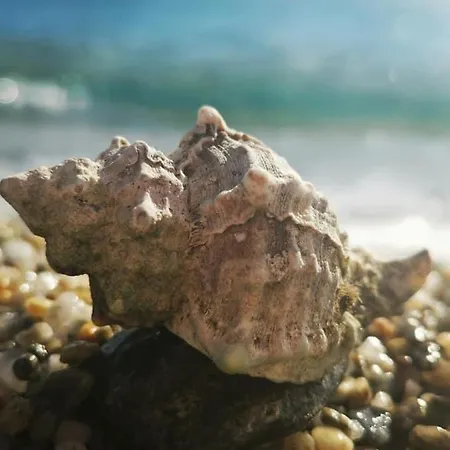 Sun Senses Front With Private Villa *