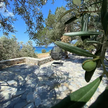 Sun Senses Front With Private