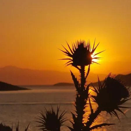 Sun Senses Front With Private